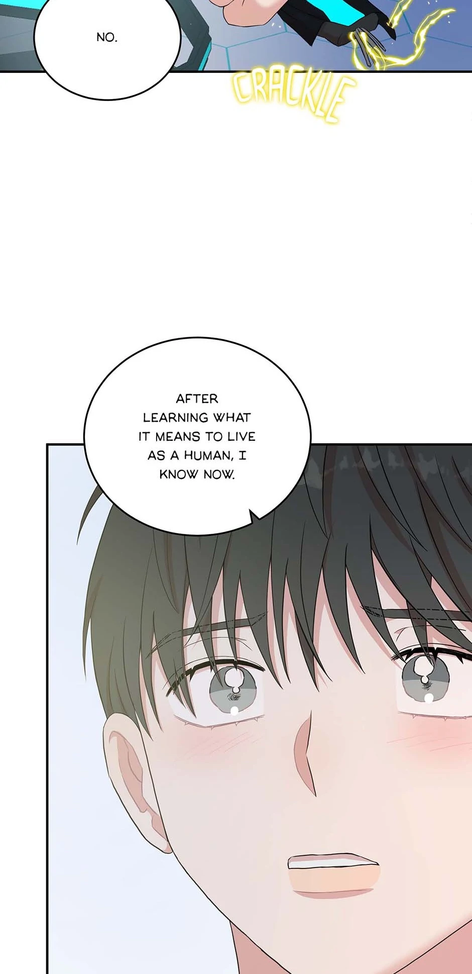 86778036 940 1938 101952